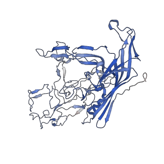 7302_6bx1_k_v1-0
Atomic resolution structure of human bufavirus 3