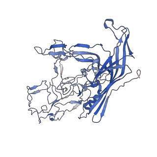 7302_6bx1_k_v1-1
Atomic resolution structure of human bufavirus 3