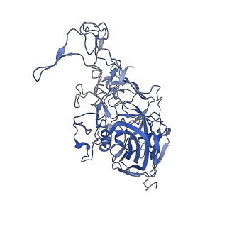 7302_6bx1_l_v1-0
Atomic resolution structure of human bufavirus 3