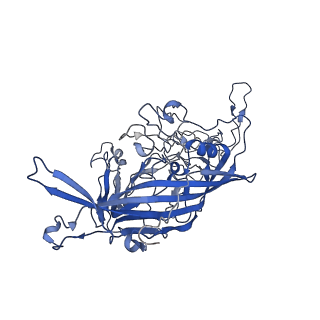 7302_6bx1_m_v1-0
Atomic resolution structure of human bufavirus 3