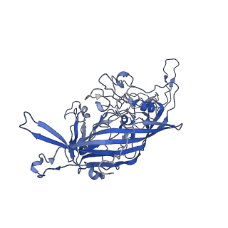 7302_6bx1_m_v1-1
Atomic resolution structure of human bufavirus 3