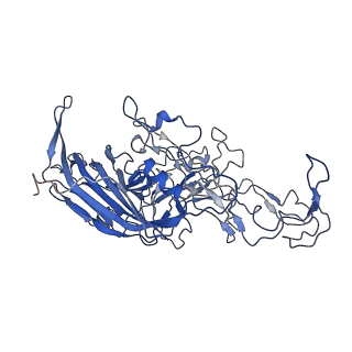7302_6bx1_n_v1-0
Atomic resolution structure of human bufavirus 3