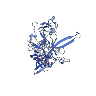 7302_6bx1_o_v1-0
Atomic resolution structure of human bufavirus 3