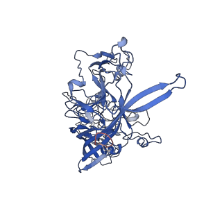 7302_6bx1_o_v1-1
Atomic resolution structure of human bufavirus 3