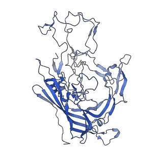 7302_6bx1_p_v1-0
Atomic resolution structure of human bufavirus 3