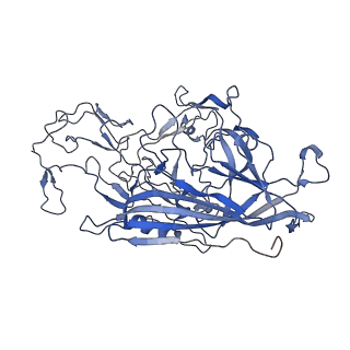 7302_6bx1_q_v1-0
Atomic resolution structure of human bufavirus 3