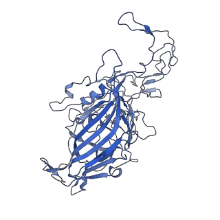 7302_6bx1_r_v1-0
Atomic resolution structure of human bufavirus 3