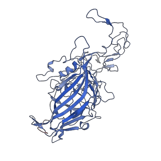 7302_6bx1_r_v1-1
Atomic resolution structure of human bufavirus 3