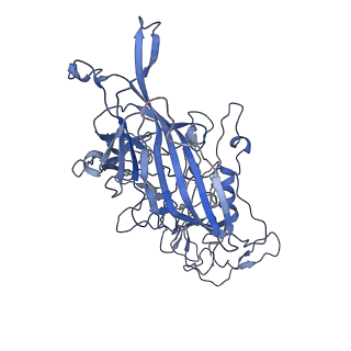 7302_6bx1_s_v1-0
Atomic resolution structure of human bufavirus 3