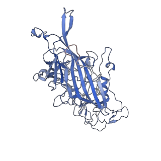 7302_6bx1_s_v1-1
Atomic resolution structure of human bufavirus 3