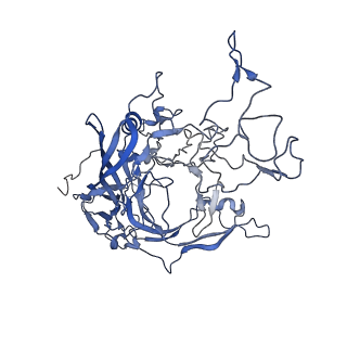 7302_6bx1_u_v1-0
Atomic resolution structure of human bufavirus 3