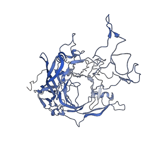 7302_6bx1_u_v1-1
Atomic resolution structure of human bufavirus 3