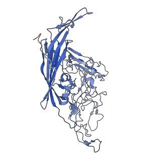 7302_6bx1_v_v1-0
Atomic resolution structure of human bufavirus 3