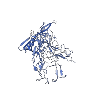 7302_6bx1_w_v1-0
Atomic resolution structure of human bufavirus 3