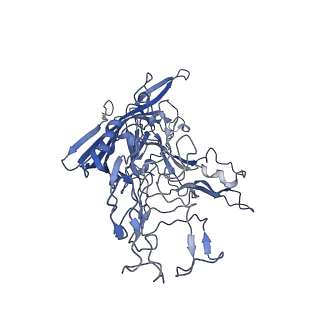 7302_6bx1_w_v1-1
Atomic resolution structure of human bufavirus 3