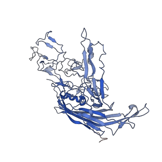 7302_6bx1_y_v1-0
Atomic resolution structure of human bufavirus 3