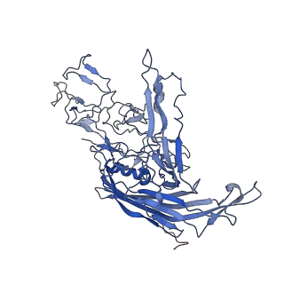 7302_6bx1_y_v1-1
Atomic resolution structure of human bufavirus 3