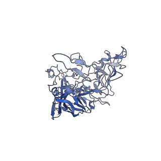 7302_6bx1_z_v1-0
Atomic resolution structure of human bufavirus 3