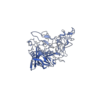 7302_6bx1_z_v1-1
Atomic resolution structure of human bufavirus 3