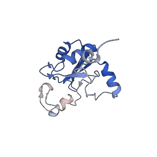 16321_8by6_B_v1-1
Structure of the human nuclear cap-binding complex bound to NCBP3(560-620) and cap-analogue m7GpppG