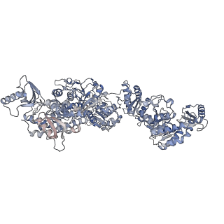 16324_8by8_A_v1-0
The cercosporin fungal non-reducing polyketide synthase (NR-PKS) CTB1 (SAT-KS-MAT)