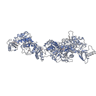 16324_8by8_B_v1-0
The cercosporin fungal non-reducing polyketide synthase (NR-PKS) CTB1 (SAT-KS-MAT)