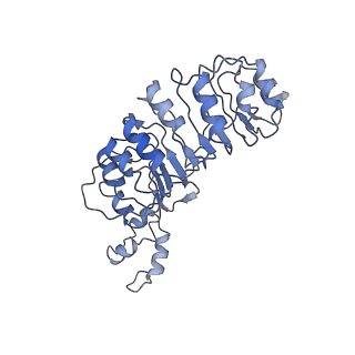 16325_8bya_E_v1-1
Cryo-EM structure of SKP1-SKP2-CKS1-CDK2-CyclinA-p27KIP1 Complex