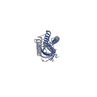 16326_8byi_E_v1-0
Alvinella pompejana nicotinic acetylcholine receptor Alpo4 in complex with CHAPS(Alpo4_CHAPS)