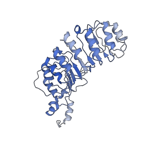 16327_8byl_B_v1-1
Cryo-EM structure of SKP1-SKP2-CKS1 from the SCFSKP2 E3 ligase complex
