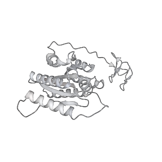 16331_8byq_5_v1-2
RNA polymerase II pre-initiation complex with the proximal +1 nucleosome (PIC-Nuc10W)