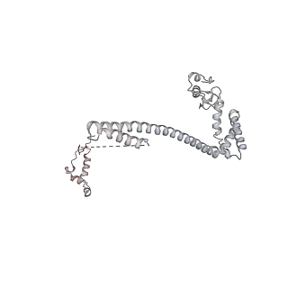 16331_8byq_7_v1-2
RNA polymerase II pre-initiation complex with the proximal +1 nucleosome (PIC-Nuc10W)