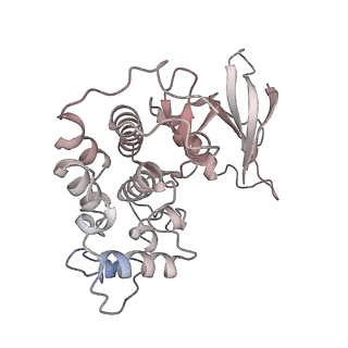 16331_8byq_8_v1-2
RNA polymerase II pre-initiation complex with the proximal +1 nucleosome (PIC-Nuc10W)
