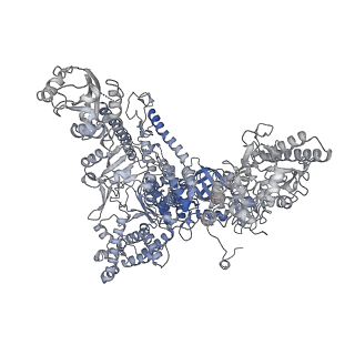 16331_8byq_A_v1-2
RNA polymerase II pre-initiation complex with the proximal +1 nucleosome (PIC-Nuc10W)