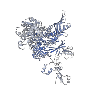 16331_8byq_B_v1-2
RNA polymerase II pre-initiation complex with the proximal +1 nucleosome (PIC-Nuc10W)