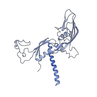 16331_8byq_C_v1-2
RNA polymerase II pre-initiation complex with the proximal +1 nucleosome (PIC-Nuc10W)