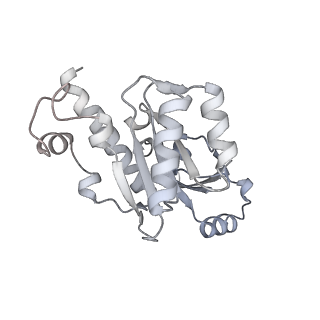 16331_8byq_E_v1-2
RNA polymerase II pre-initiation complex with the proximal +1 nucleosome (PIC-Nuc10W)