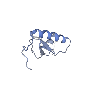 16331_8byq_F_v1-2
RNA polymerase II pre-initiation complex with the proximal +1 nucleosome (PIC-Nuc10W)
