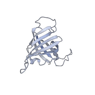 16331_8byq_H_v1-2
RNA polymerase II pre-initiation complex with the proximal +1 nucleosome (PIC-Nuc10W)