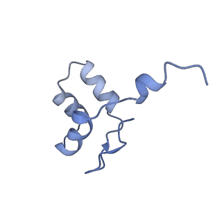 16331_8byq_J_v1-2
RNA polymerase II pre-initiation complex with the proximal +1 nucleosome (PIC-Nuc10W)