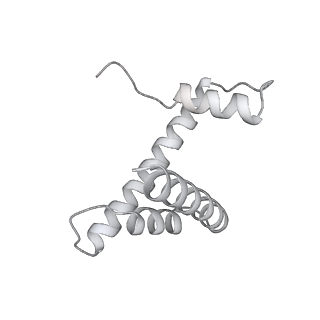 16331_8byq_h_v1-2
RNA polymerase II pre-initiation complex with the proximal +1 nucleosome (PIC-Nuc10W)