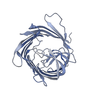 16333_8byt_A_v1-1
Outer membrane attachment porin OmpM1 from Veillonella parvula, C3 symmetry