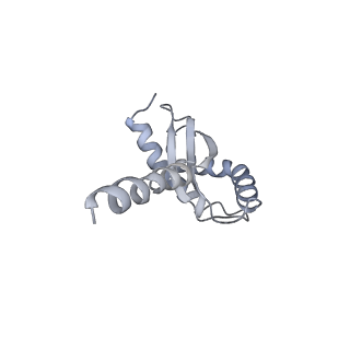 16334_8byv_A_v1-0
Cryo-EM structure of a Staphylococus aureus 30S-RbfA complex
