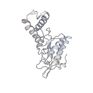 16334_8byv_b_v1-0
Cryo-EM structure of a Staphylococus aureus 30S-RbfA complex