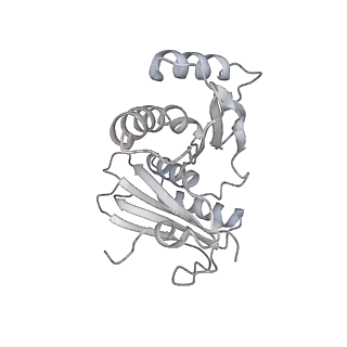 16334_8byv_c_v1-0
Cryo-EM structure of a Staphylococus aureus 30S-RbfA complex