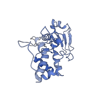 16334_8byv_d_v1-0
Cryo-EM structure of a Staphylococus aureus 30S-RbfA complex
