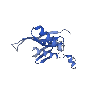 16334_8byv_e_v1-0
Cryo-EM structure of a Staphylococus aureus 30S-RbfA complex