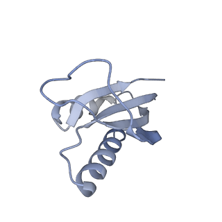 16334_8byv_f_v1-0
Cryo-EM structure of a Staphylococus aureus 30S-RbfA complex