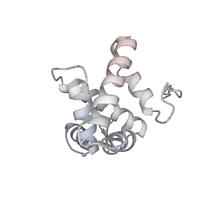 16334_8byv_g_v1-0
Cryo-EM structure of a Staphylococus aureus 30S-RbfA complex
