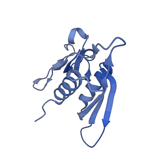 16334_8byv_h_v1-0
Cryo-EM structure of a Staphylococus aureus 30S-RbfA complex