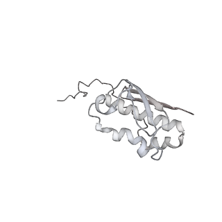 16334_8byv_i_v1-0
Cryo-EM structure of a Staphylococus aureus 30S-RbfA complex